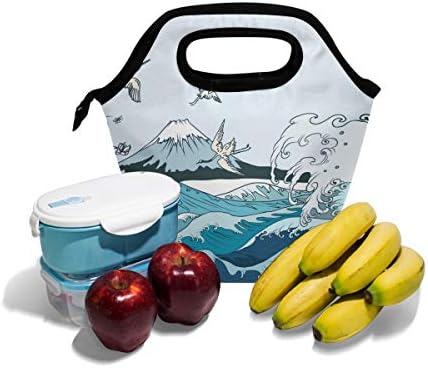 Alaza izolovana torba za ručak zamrznuta kutija za ručak za djecu žene djevojčice dječaci i muškarci, Fuji Mountain Cooler prenosiva torba za ručak sa patentnim zatvaračem za piknik u radnoj školi