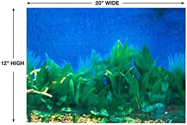 Penn-Plax DBC10CB reverzibilna dvostrana pozadina akvarija strana 1 plavi gradijent/Strana 2 život podvodnih biljaka