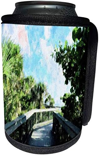 3Droza - objektiv u umjetnost Florene - plaža i tropska umjetnost - Slika whinerway na plaži Venecija Florida sa palmi morskim sramotom - može li hladni flash omotati