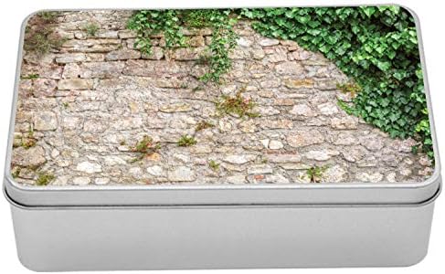 Zidna metalna kutija AMBESONNE BRICK, starinski kameni zid djelomično prekriven zelenom ivy biljnom sklopom,