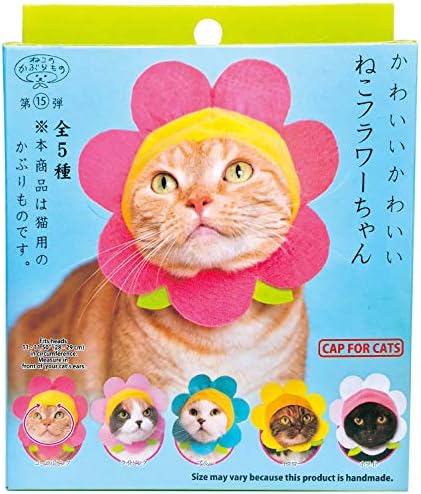 Kitan Club kapa za mačke - slijepa kutija za kućne ljubimce uključuje 1 od 5 slatkih stilova-mekana, udobna-autentični japanski Kawaii dizajn-materijali sigurni za životinje, vrhunskog kvaliteta