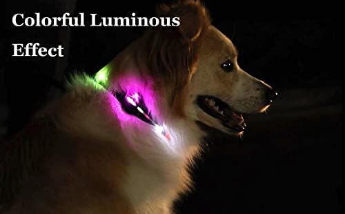 Ewinoom LED ovratnik za pse, podesiva vodootporna svjetlost Up pet ovratnici za kućne ljubimce, USB punjivi treperi svijetle sjajne sigurnosne ogrlice za pse, ružičaste