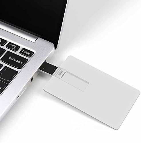 Sažetak korova pogona USB 2.0 32G i 64G prijenosna memorijska kartica za PC / laptop