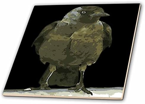 3Droza Crna vrana sa kapuljačom smještena na balustradi crni ocrta Art - Pločice