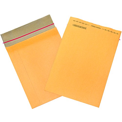 Kutija SAD BB821 Jiffy Rigi torba Mailers, 2, 8 1/2 x 10 1/2, Kraft