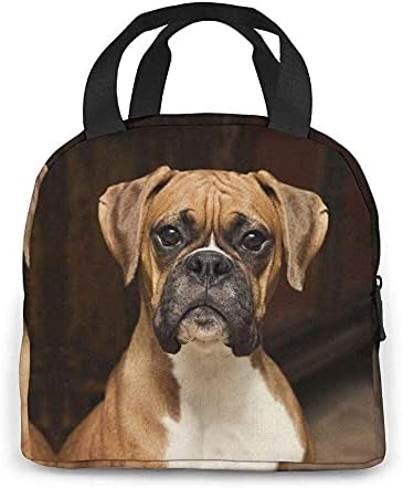 SHENGBAO, torba za ručak Boxer kutija za pseći ručak izolovana torba Tote Bag za muška Radna putovanja,