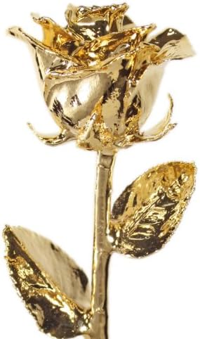 AllmyGold 24K Gold umočen Venus originalna ruža u poklon kutiji
