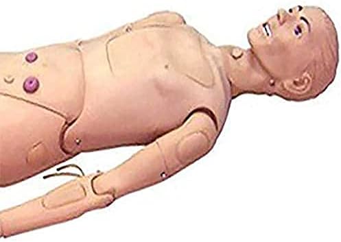 Wfzy Care Pacijent Manikin Trening CPR Simulator Geriatric Human Model Cijelo tijelo za medicinsko obuku