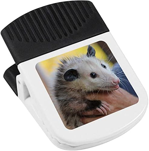 Azeeda 'Opossum' magnetni isječak
