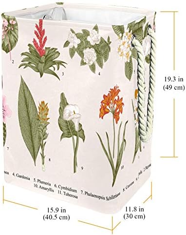Tizorax biljke velika korpa za veš, vodootporna sklopiva korpa za odlaganje kvadratnih Oksfordskih tkanina